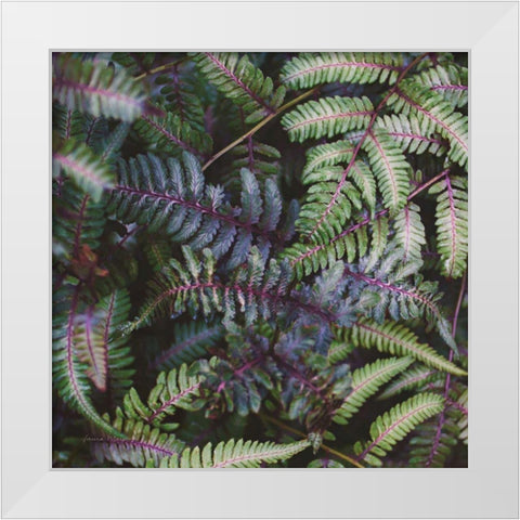 Funky Ferns V White Modern Wood Framed Art Print by Marshall, Laura