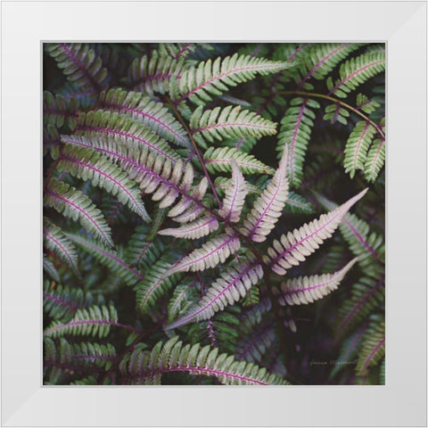 Funky Ferns VI White Modern Wood Framed Art Print by Marshall, Laura