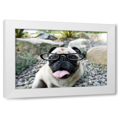 Four Eyes White Modern Wood Framed Art Print by Dratfield, Jim