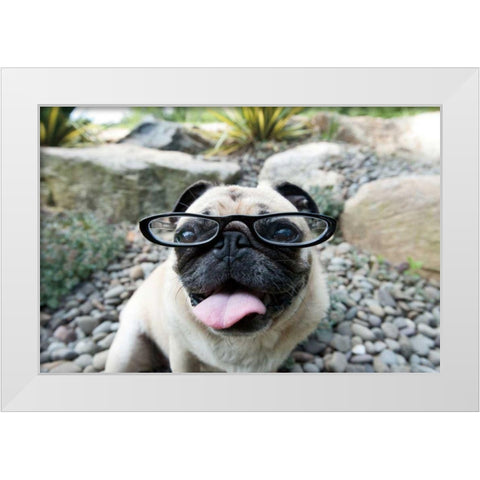 Four Eyes White Modern Wood Framed Art Print by Dratfield, Jim