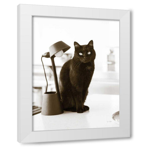 Lights Cat Action White Modern Wood Framed Art Print by Dratfield, Jim