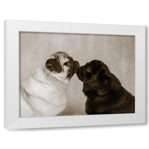 Pooch Smooch White Modern Wood Framed Art Print by Dratfield, Jim