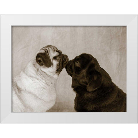Pooch Smooch White Modern Wood Framed Art Print by Dratfield, Jim