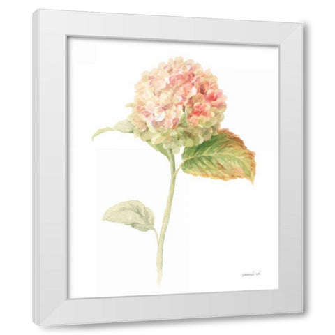 Floursack Florals on White V White Modern Wood Framed Art Print by Nai, Danhui