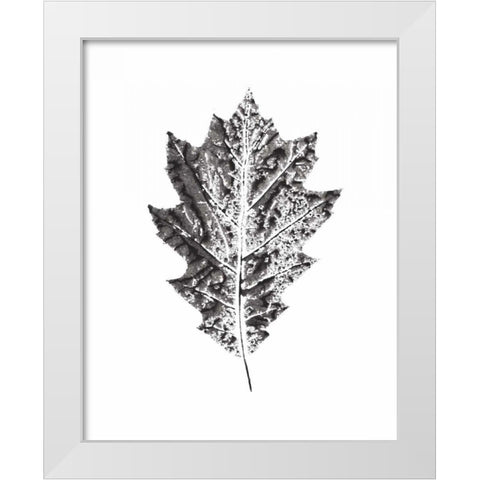 Harvest Sentiments VII BW no Words White Modern Wood Framed Art Print by Hershey, Moira