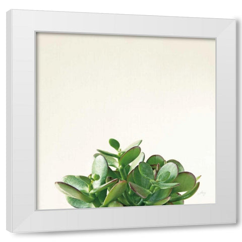 Succulent Simplicity III Neutral White Modern Wood Framed Art Print by Bradley, Felicity