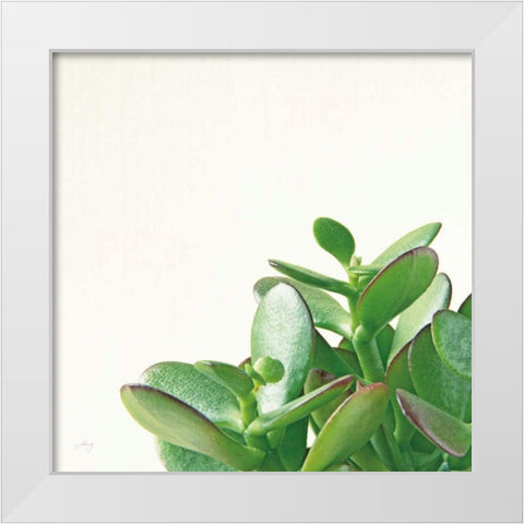 Succulent Simplicity IV Neutral White Modern Wood Framed Art Print by Bradley, Felicity