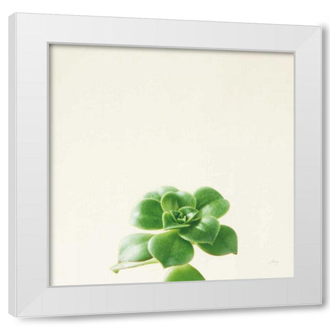 Succulent Simplicity VII Neutral White Modern Wood Framed Art Print by Bradley, Felicity
