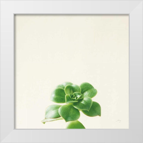 Succulent Simplicity VII Neutral White Modern Wood Framed Art Print by Bradley, Felicity