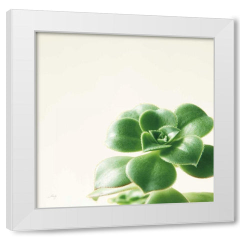 Succulent Simplicity VIII Neutral White Modern Wood Framed Art Print by Bradley, Felicity