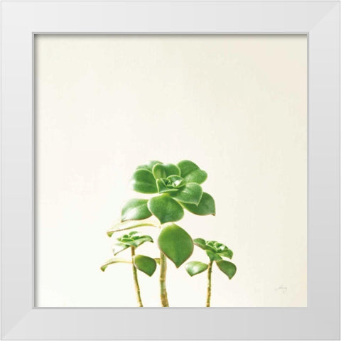 Succulent Simplicity IX Neutral White Modern Wood Framed Art Print by Bradley, Felicity