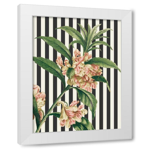 Herbal Botanical XXVI Bold White Modern Wood Framed Art Print by Wild Apple Portfolio