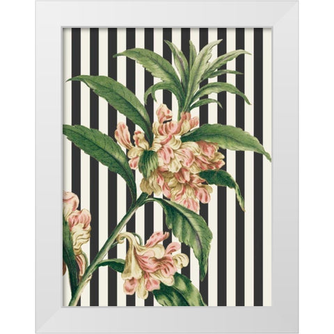 Herbal Botanical XXVI Bold White Modern Wood Framed Art Print by Wild Apple Portfolio