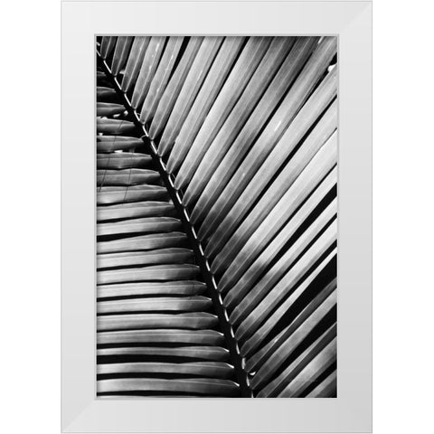 Palm Frond I White Modern Wood Framed Art Print by Van Swearingen, Debra