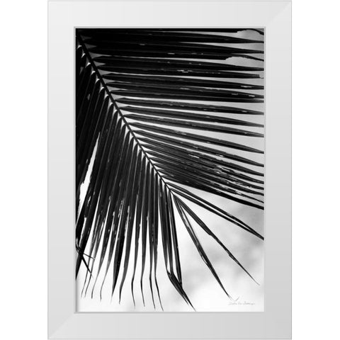 Palm Frond II White Modern Wood Framed Art Print by Van Swearingen, Debra
