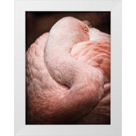 Chilean Flamingo I White Modern Wood Framed Art Print by Van Swearingen, Debra