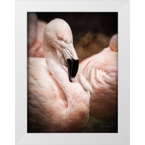 Chilean Flamingo II White Modern Wood Framed Art Print by Van Swearingen, Debra