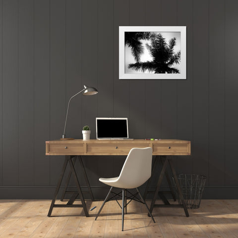 Palm Tree Looking Up I White Modern Wood Framed Art Print by Van Swearingen, Debra