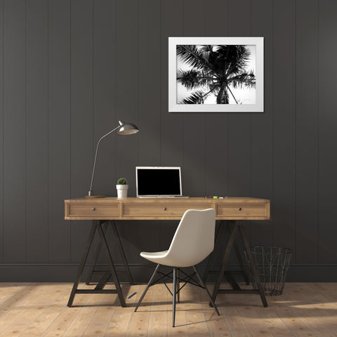 Palm Tree Looking Up III White Modern Wood Framed Art Print by Van Swearingen, Debra