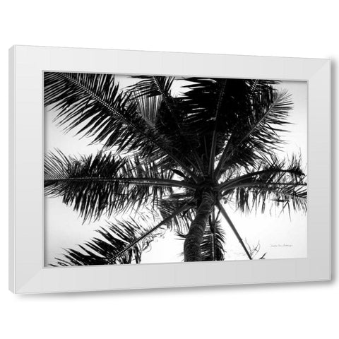 Palm Tree Looking Up III White Modern Wood Framed Art Print by Van Swearingen, Debra