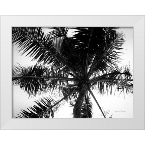 Palm Tree Looking Up III White Modern Wood Framed Art Print by Van Swearingen, Debra