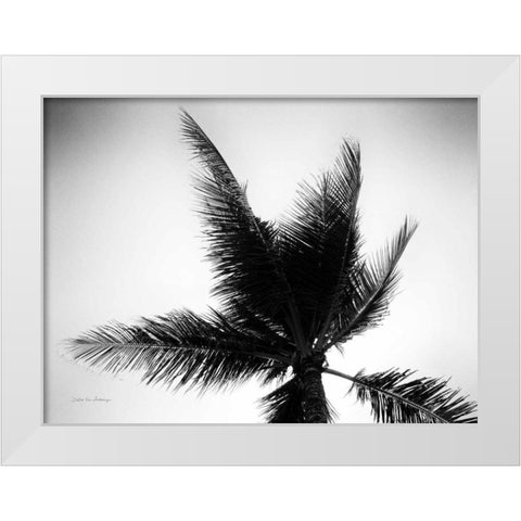 Palm Tree Looking Up IV White Modern Wood Framed Art Print by Van Swearingen, Debra