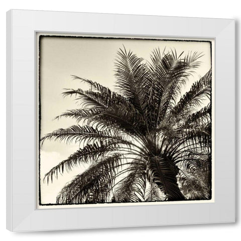Palm Tree Sepia I White Modern Wood Framed Art Print by Van Swearingen, Debra