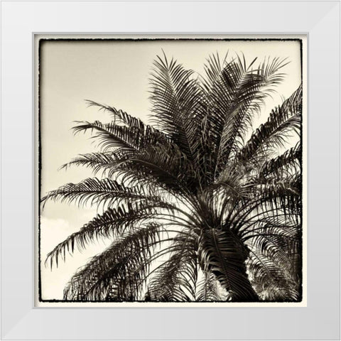 Palm Tree Sepia I White Modern Wood Framed Art Print by Van Swearingen, Debra
