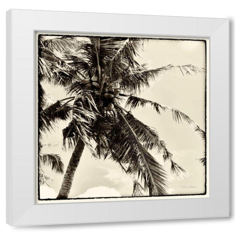 Palm Tree Sepia II White Modern Wood Framed Art Print by Van Swearingen, Debra