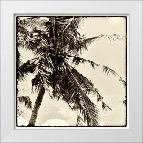 Palm Tree Sepia II White Modern Wood Framed Art Print by Van Swearingen, Debra