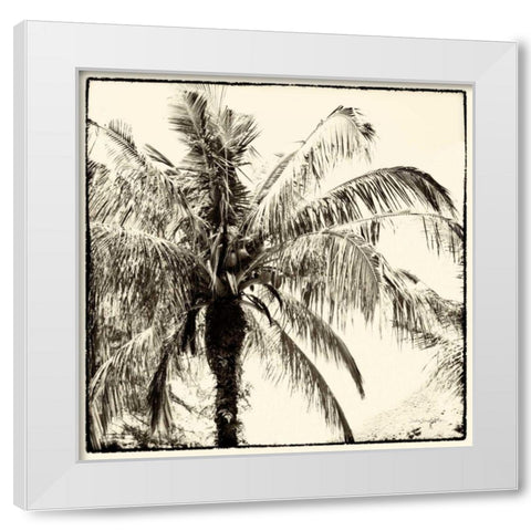 Palm Tree Sepia III White Modern Wood Framed Art Print by Van Swearingen, Debra