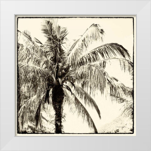 Palm Tree Sepia III White Modern Wood Framed Art Print by Van Swearingen, Debra