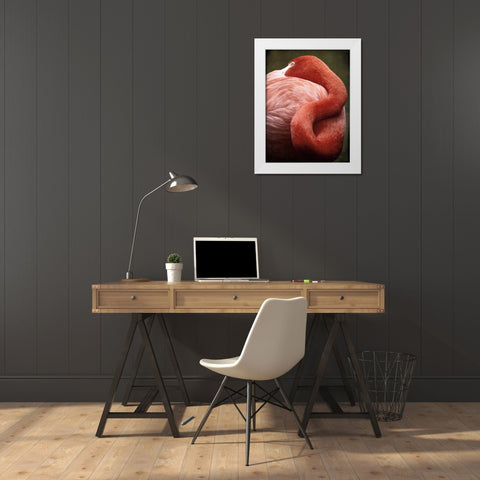 Caribbean Flamingo I White Modern Wood Framed Art Print by Van Swearingen, Debra