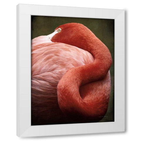 Caribbean Flamingo I White Modern Wood Framed Art Print by Van Swearingen, Debra