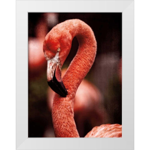 Caribbean Flamingo II White Modern Wood Framed Art Print by Van Swearingen, Debra