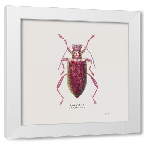 Adorning Coleoptera VI Sq Claret White Modern Wood Framed Art Print by Wiens, James