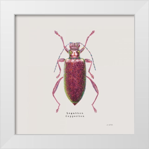 Adorning Coleoptera VI Sq Claret White Modern Wood Framed Art Print by Wiens, James