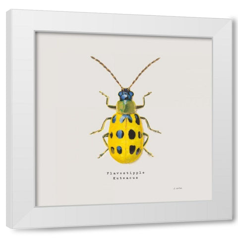 Adorning Coleoptera VII Sq Golden White Modern Wood Framed Art Print by Wiens, James