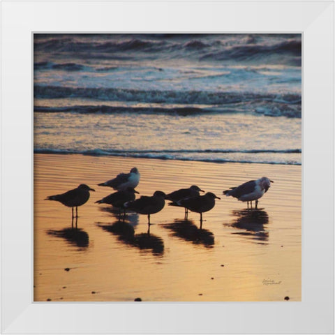 Kalaloch Birds I White Modern Wood Framed Art Print by Marshall, Laura