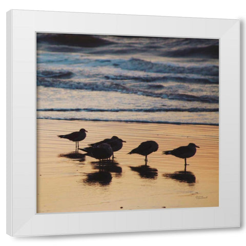 Kalaloch Birds II White Modern Wood Framed Art Print by Marshall, Laura