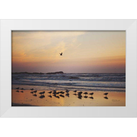 Kalaloch Birds III White Modern Wood Framed Art Print by Marshall, Laura