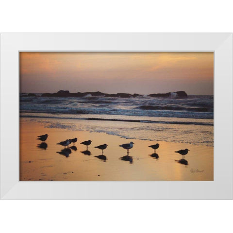 Kalaloch Birds IV White Modern Wood Framed Art Print by Marshall, Laura