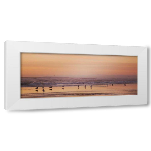 Kalaloch Birds V White Modern Wood Framed Art Print by Marshall, Laura