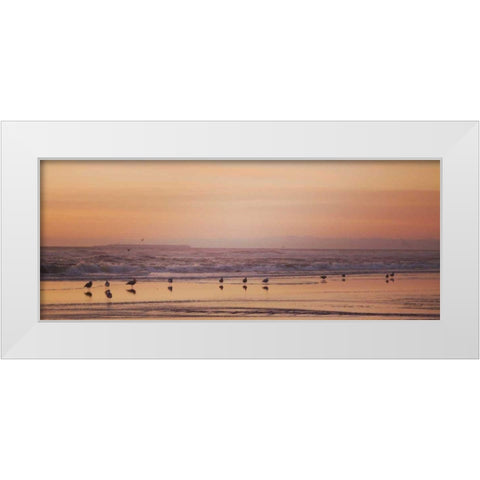 Kalaloch Birds V White Modern Wood Framed Art Print by Marshall, Laura