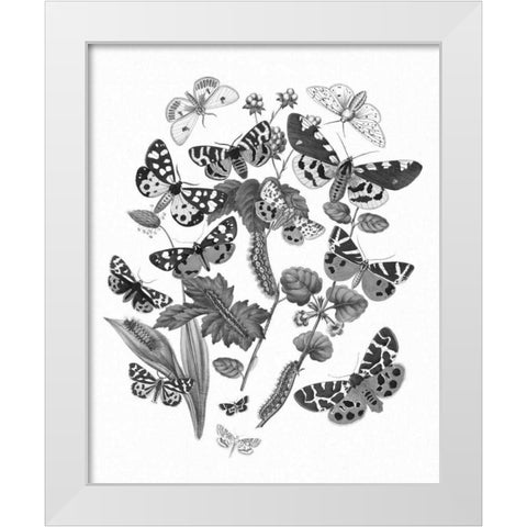 Butterfly Bouquet IV Linen BW IV White Modern Wood Framed Art Print by Wild Apple Portfolio