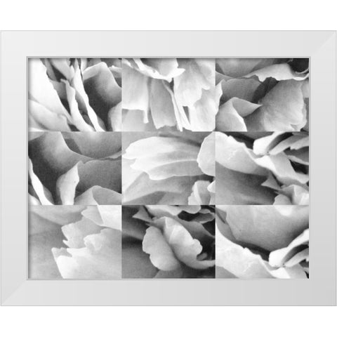 Dreamy Peony Collage White Modern Wood Framed Art Print by Wild Apple Portfolio