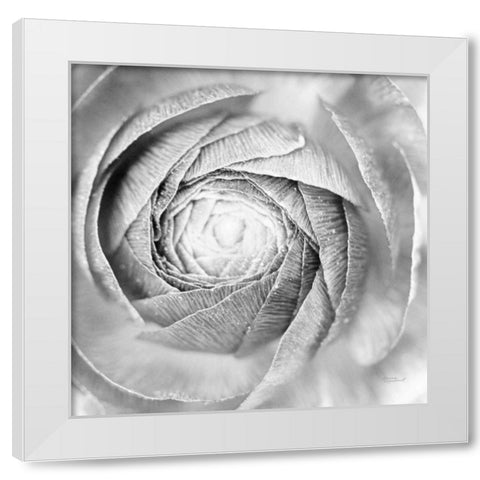 Ranunculus Abstract I BW Light White Modern Wood Framed Art Print by Marshall, Laura