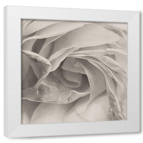 Georgia BW White Modern Wood Framed Art Print by Bevan, Keri