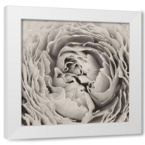BW Peony White Modern Wood Framed Art Print by Aledanda