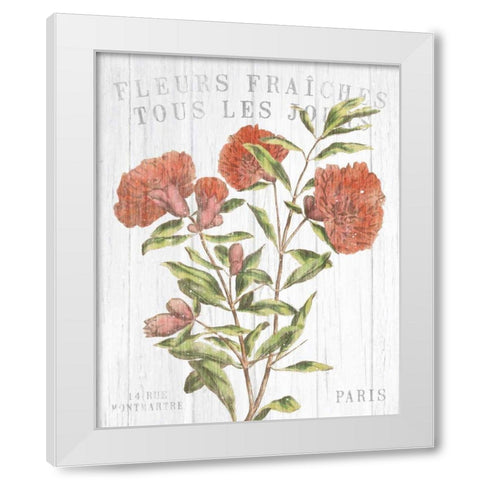 Fleuriste Paris III White Modern Wood Framed Art Print by Wild Apple Portfolio